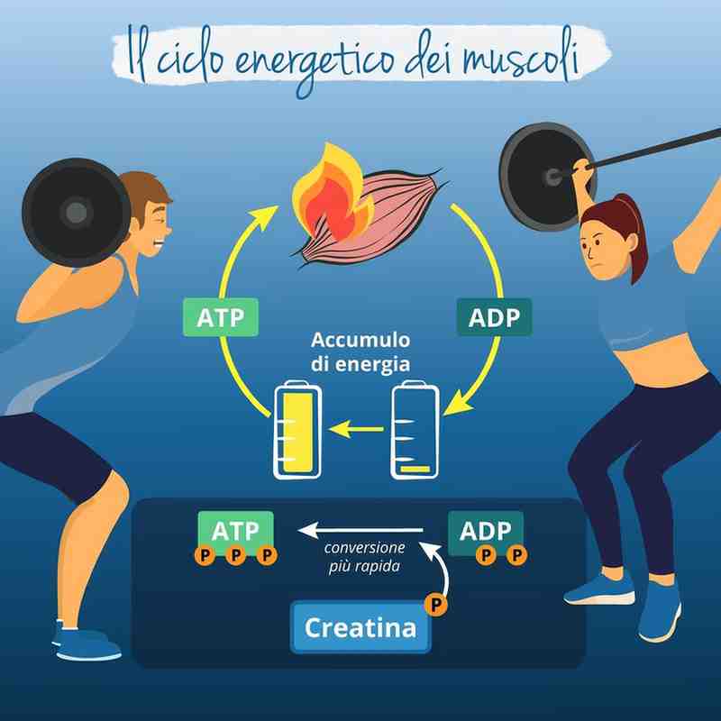 Best Creatine in India for Beginners