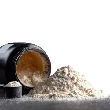 creatine powder for beginners gym