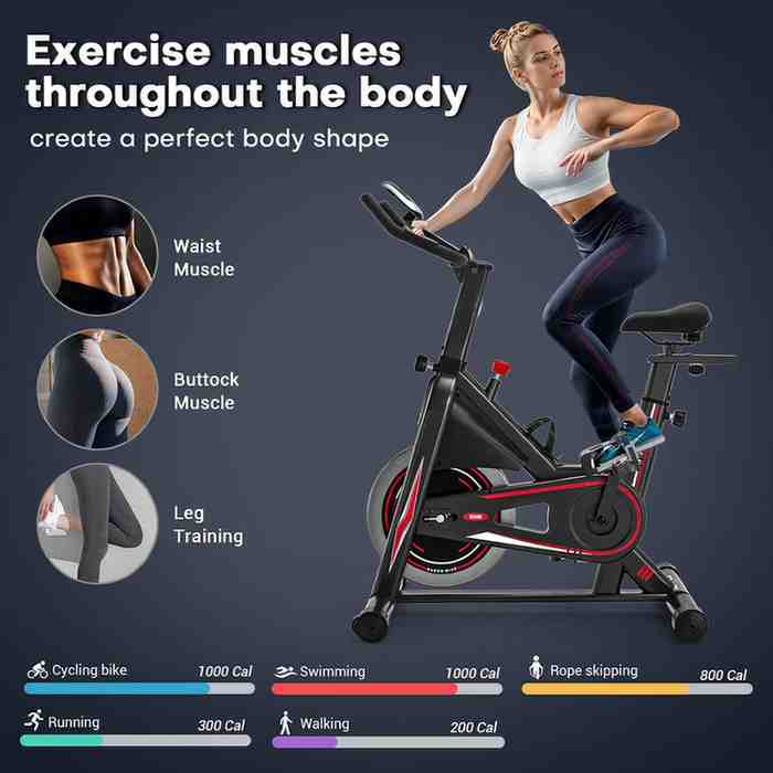 Best Exercise Cycle Under ₹10000