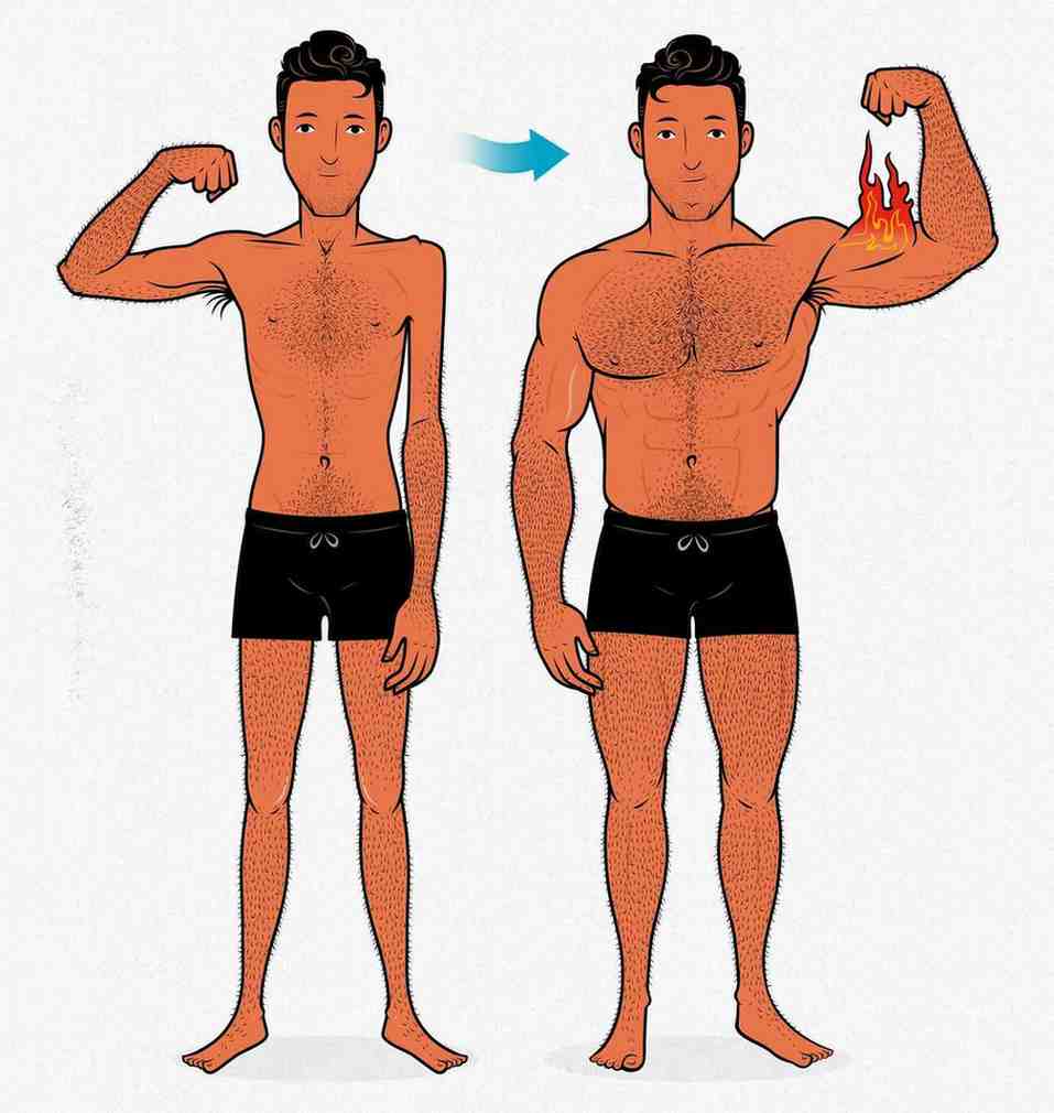 Best Whey Protein for Skinny Guys in India
