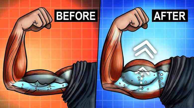 What Happens If You Stop Creatine