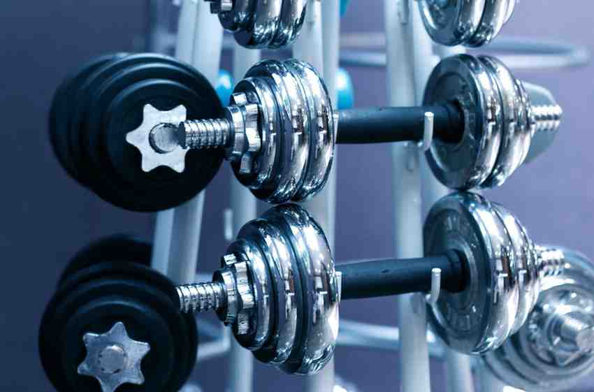 best adjustable dumbbells in india