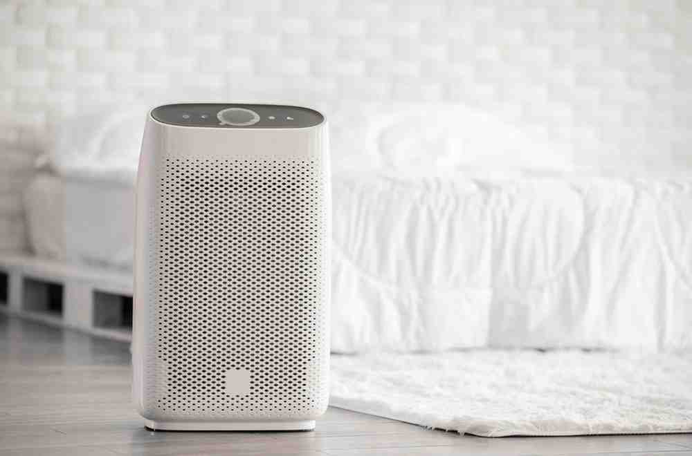 Best Air Purifier for Home Gym