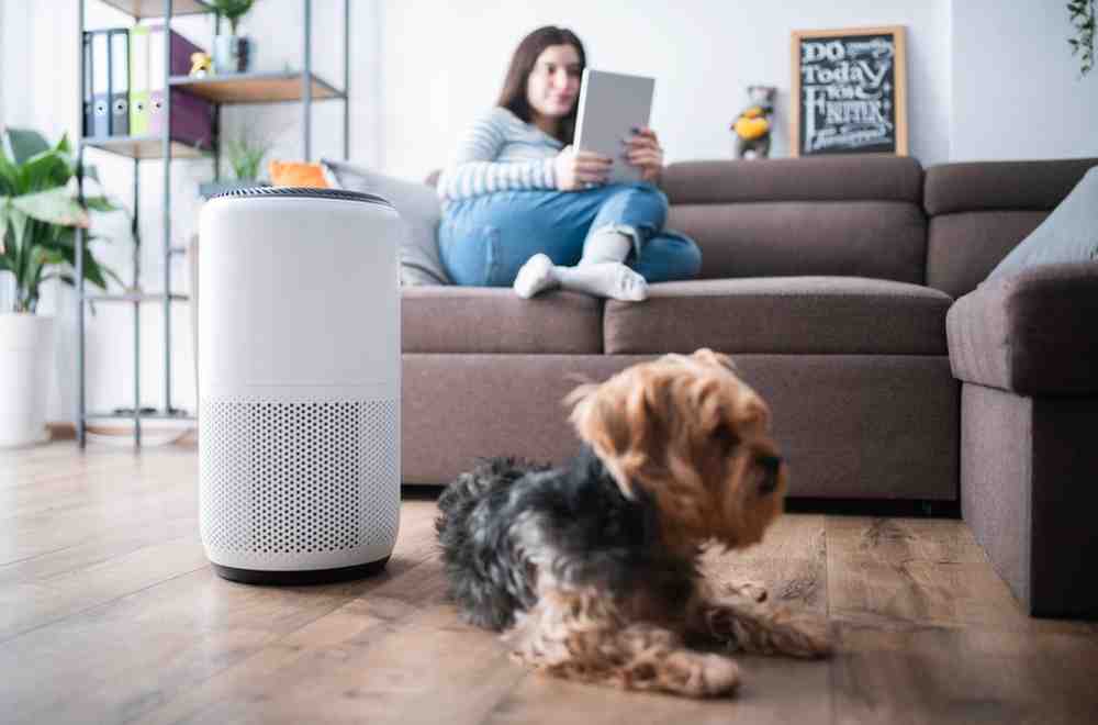 Best Air Purifier for Home Gym