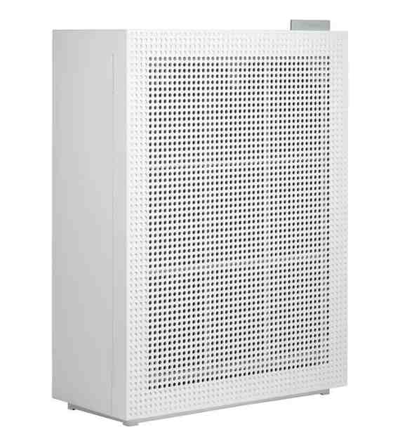 Best Air Purifier for Home Gym