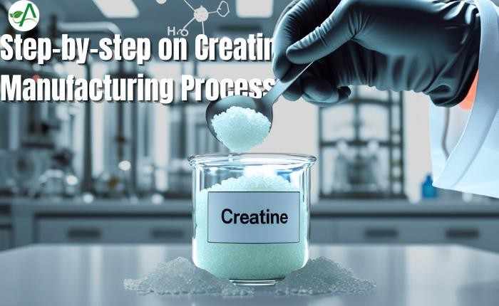 best creatine for vegetarians in india
