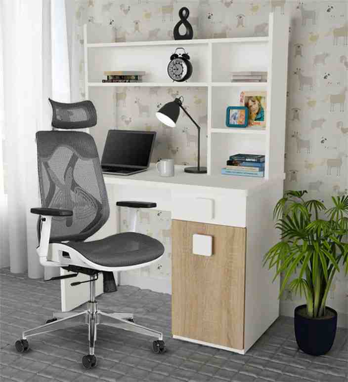best ergonomic office chair for back pain in india