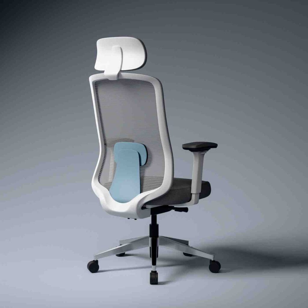 best ergonomic office chair for back pain in india