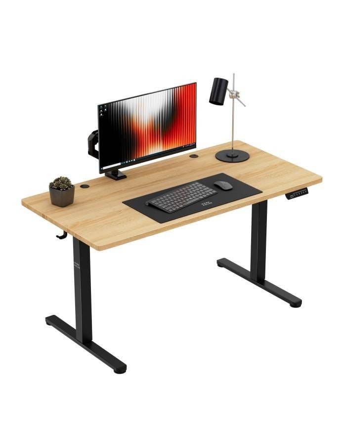 best standing desk for home office in india